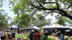 plants at the Violet Town Market
