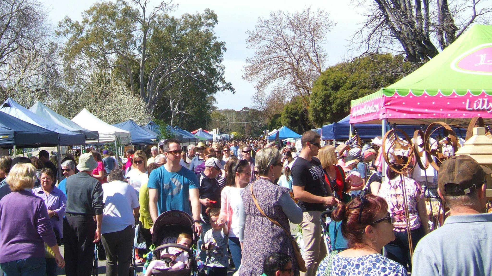 Violet Town Market