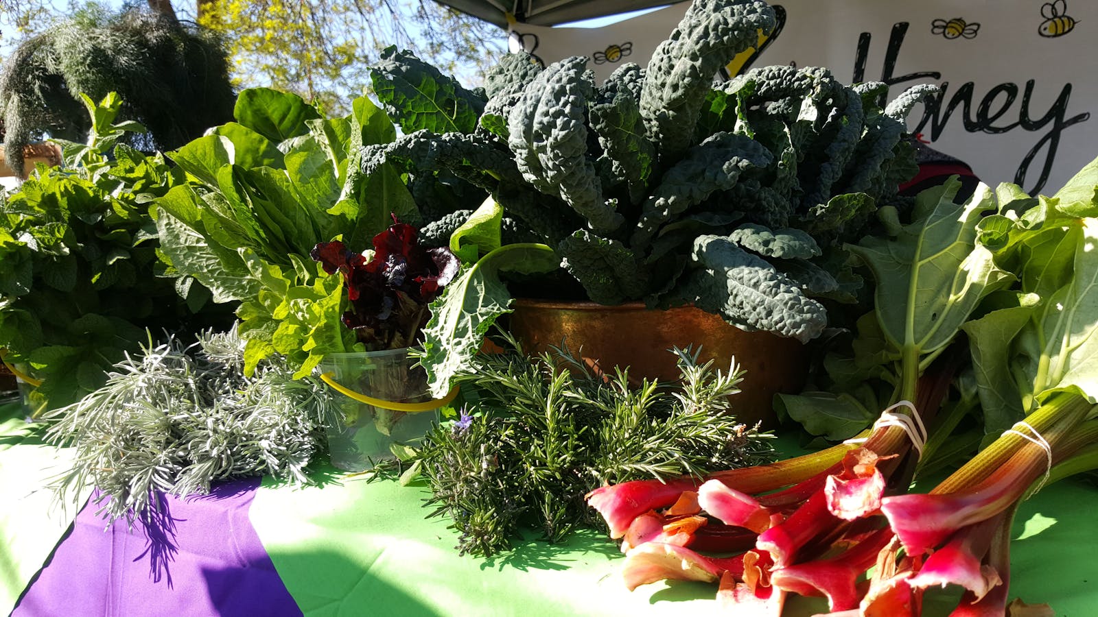 Mansfield Farmers' Market