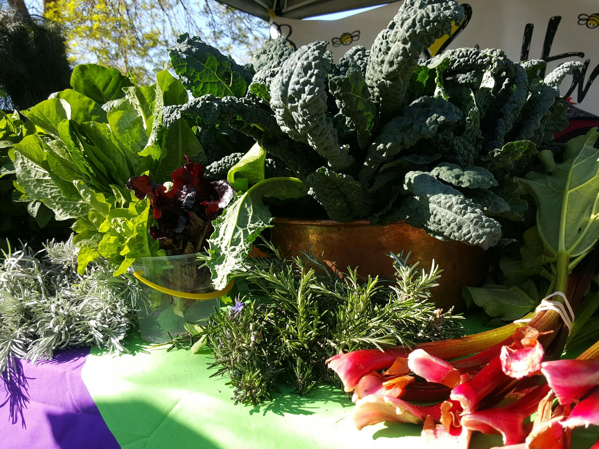 fresh produce at mansfield farmers market