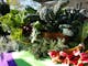 fresh produce at mansfield farmers market