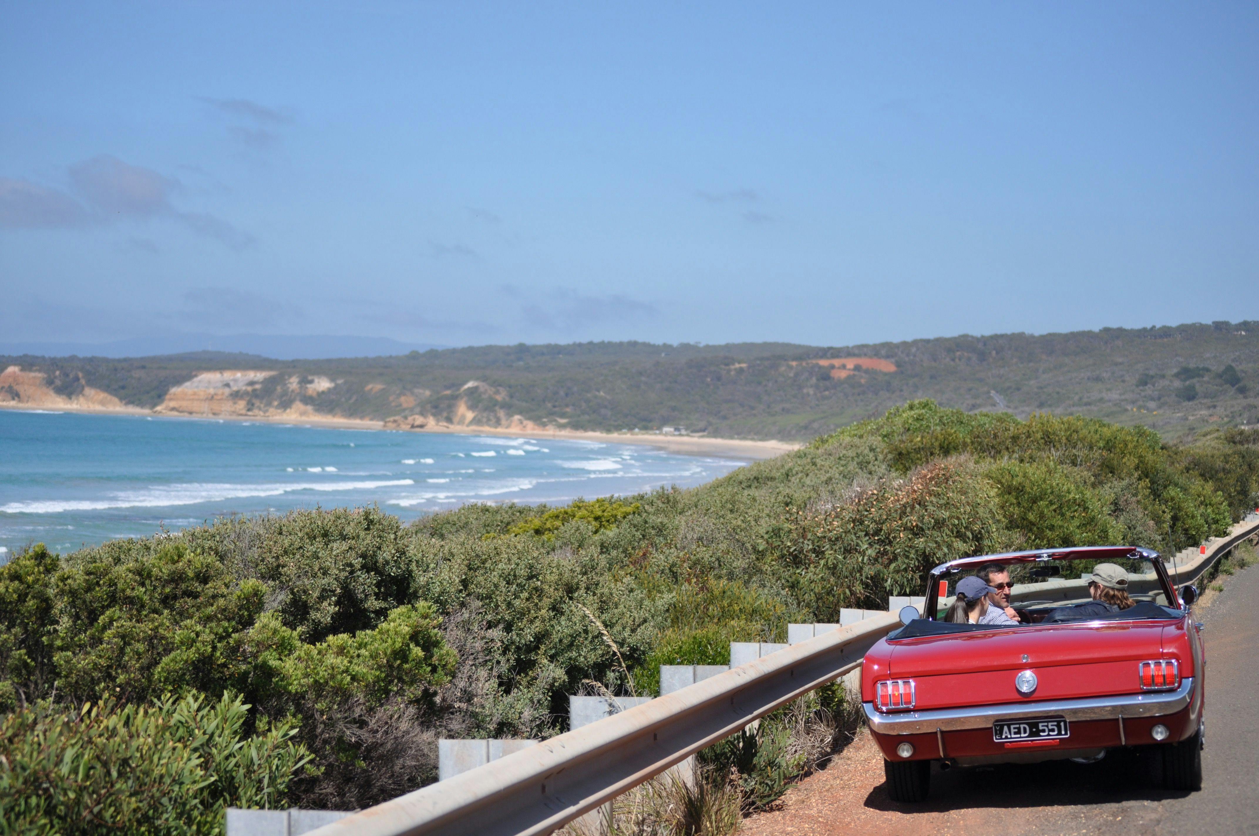 Mustang & Co - Driving Tour - Great Ocean Road