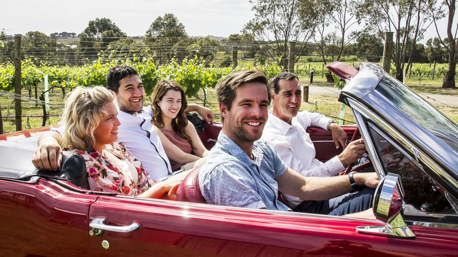 Winery Tour