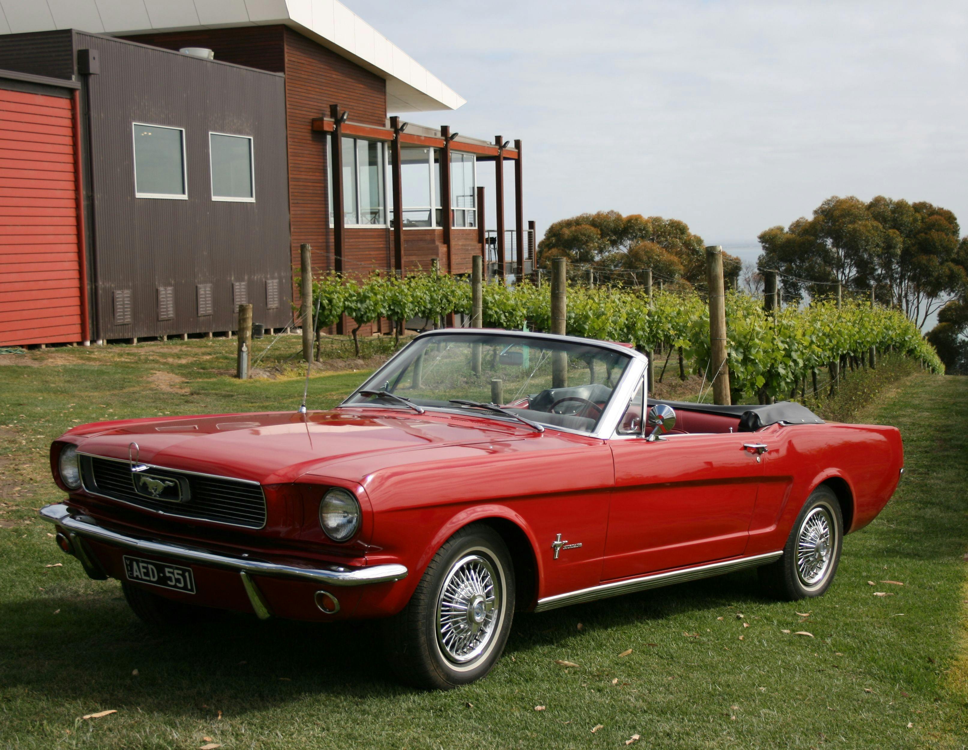 Mustang & Co - Winery Tour - Bellarine Peninsula