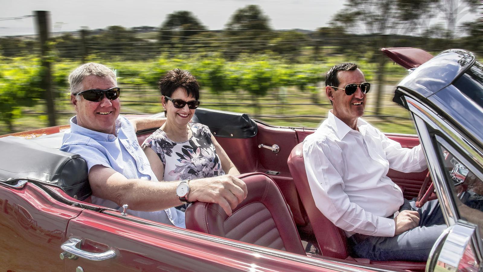 Winery Tour - Mustang & Co.