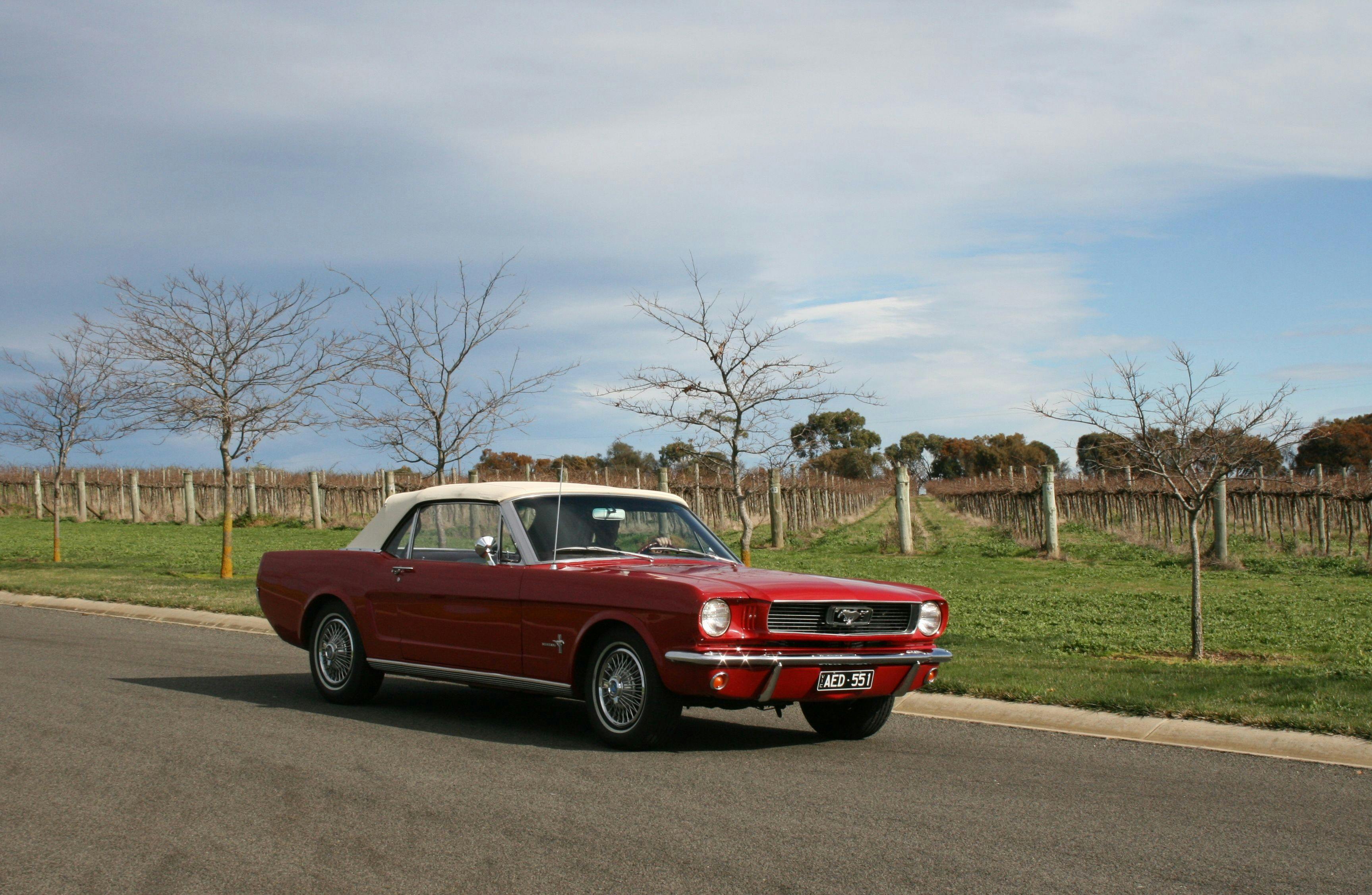 Mustang & Co - Winery Tour - Geelong Region