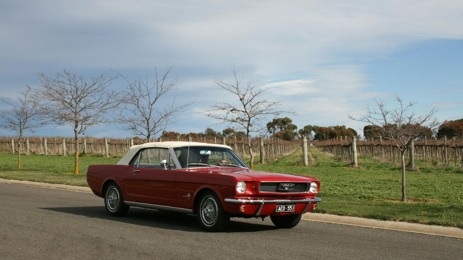 Mustang & Co. Winery Tour