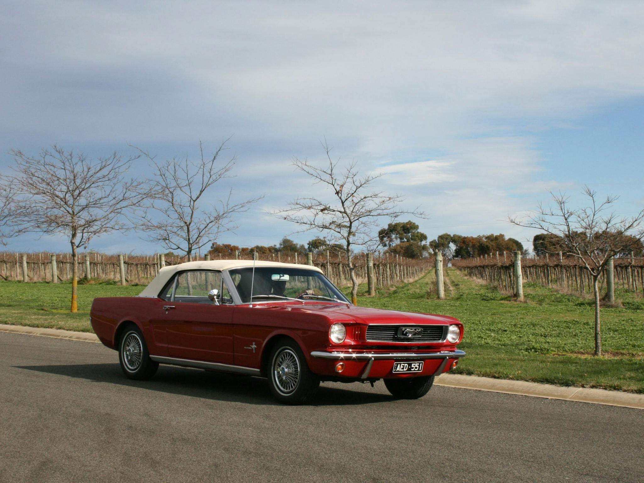 Mustang & Co. Winery Tour