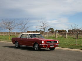 Mustang & Co. Winery Tour