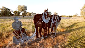 Pastoral Shadows of Brookong