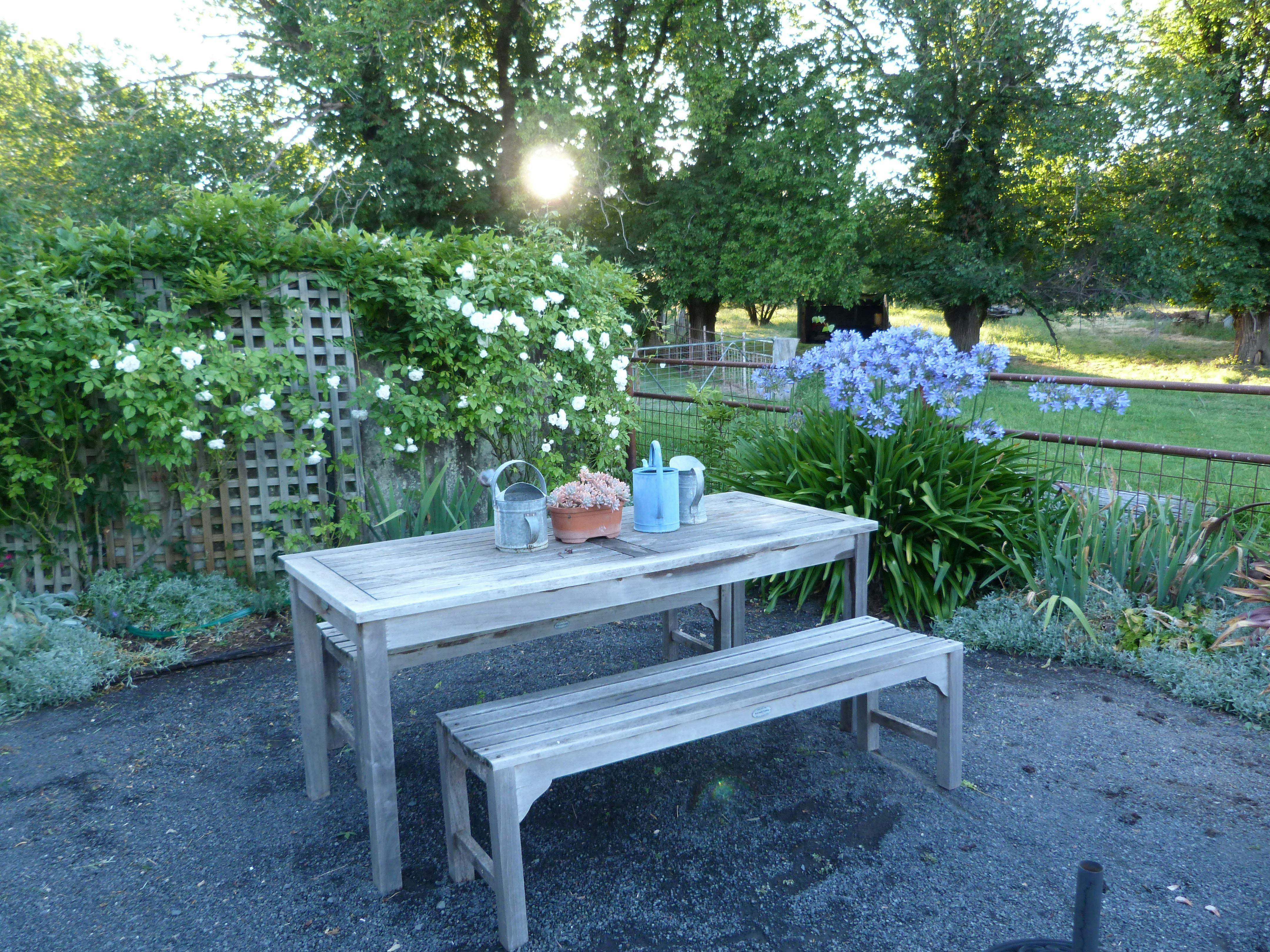 Overlooking the paddocks