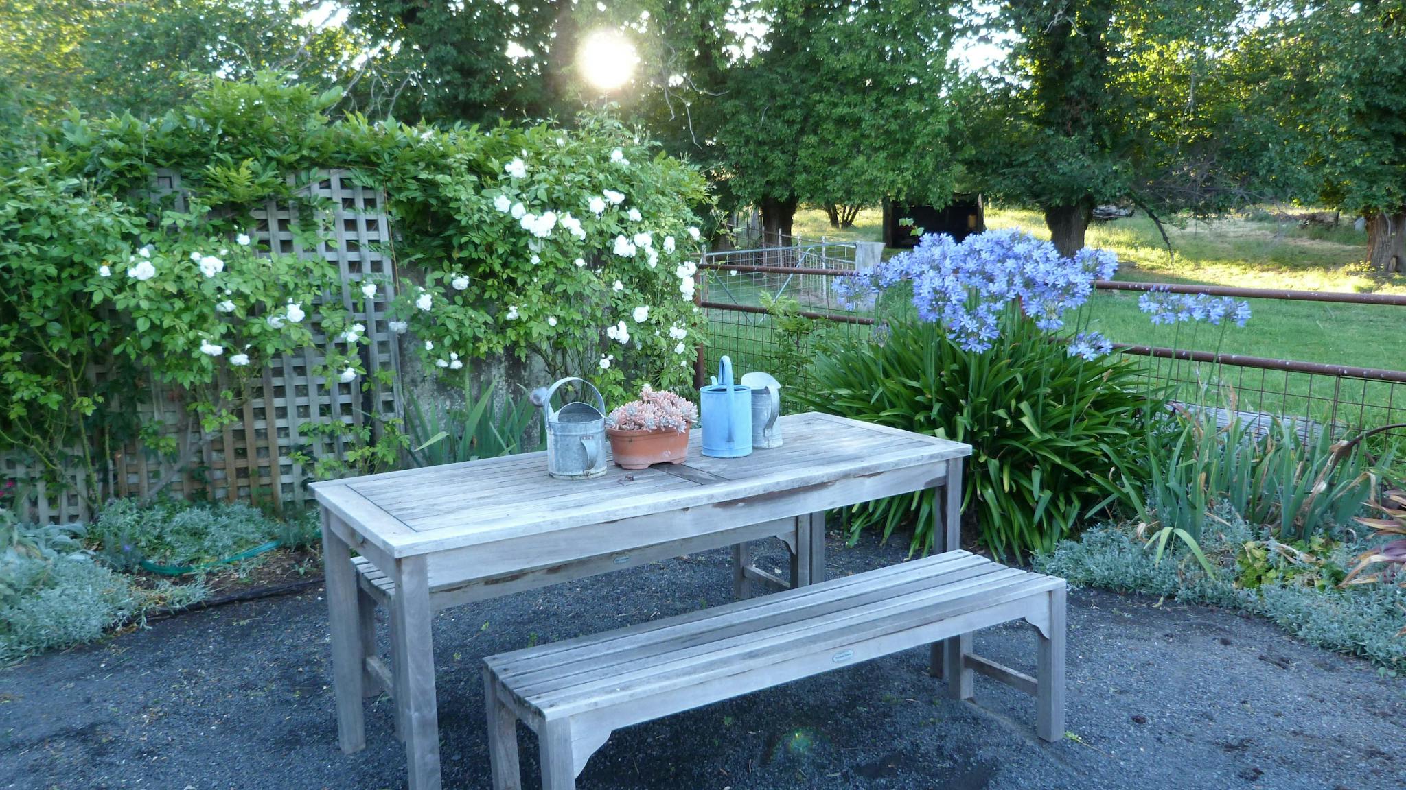 Overlooking the paddocks