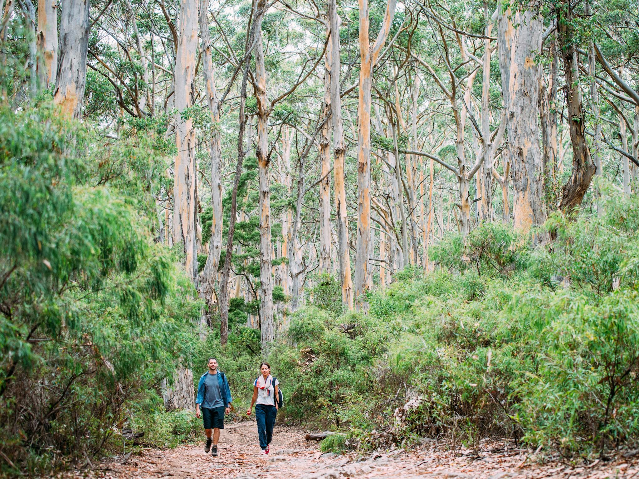 Walk into Luxury, Yallingup, Western Australia