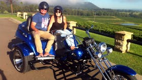 Hunter Trikes