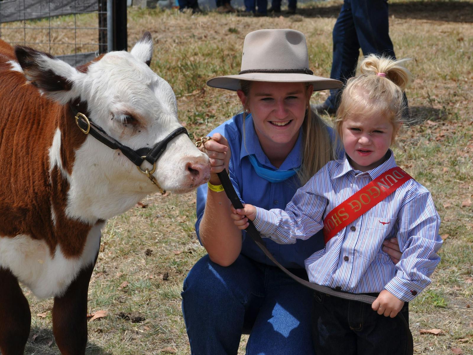 Image for Dungog Show