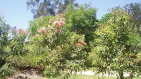 Sensory Gardens