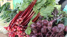 Camden Fresh Produce Market