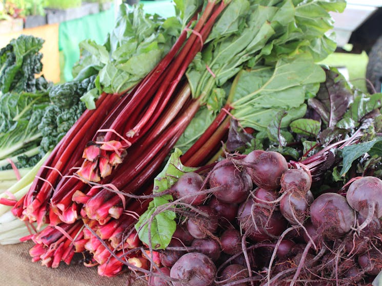 Camden Fresh Produce Market