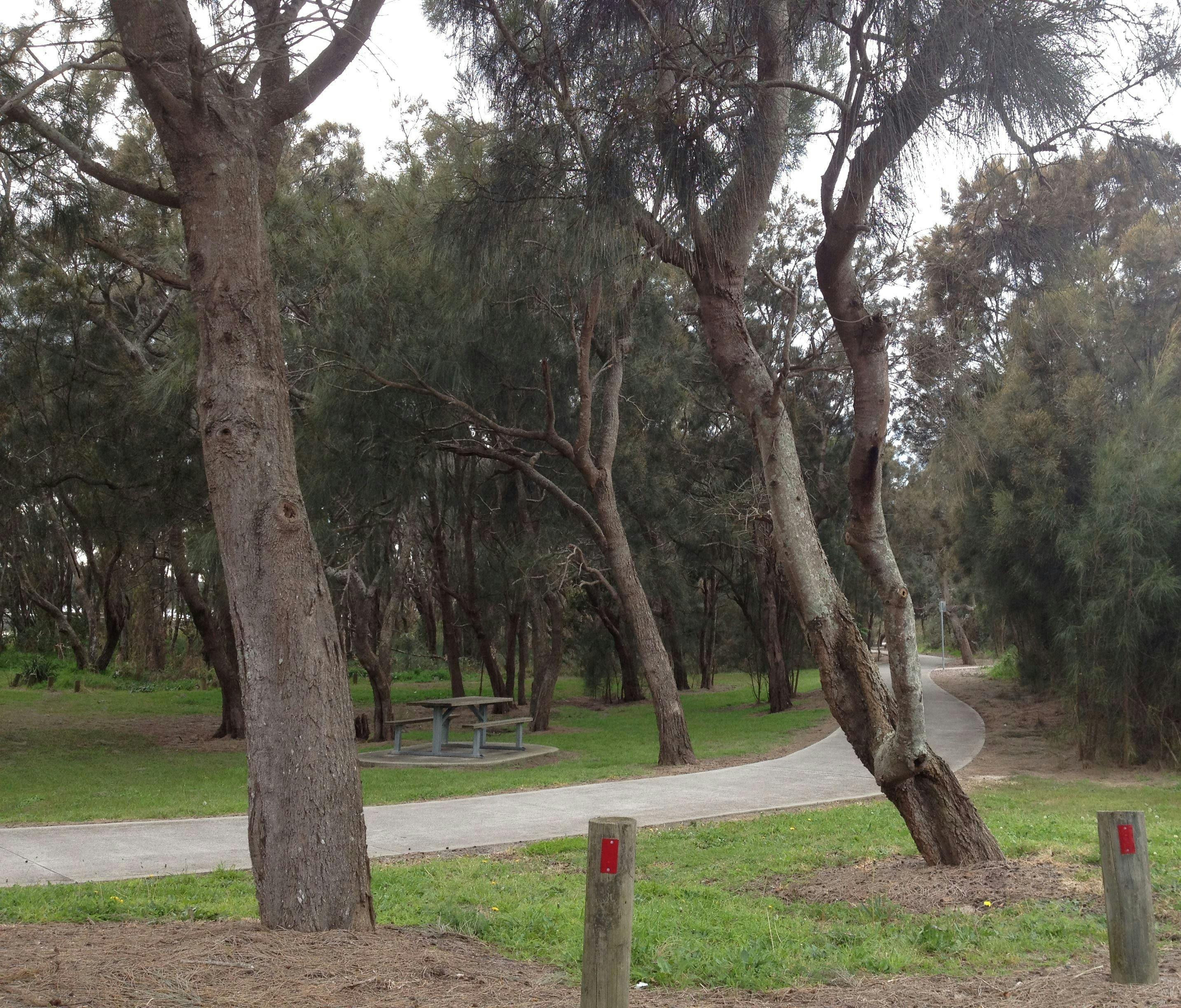 Tuggerah Lakes Cycleway