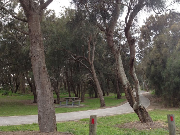 Tuggerah Lakes Cycleway