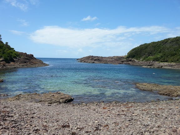 Bass Point Reserve