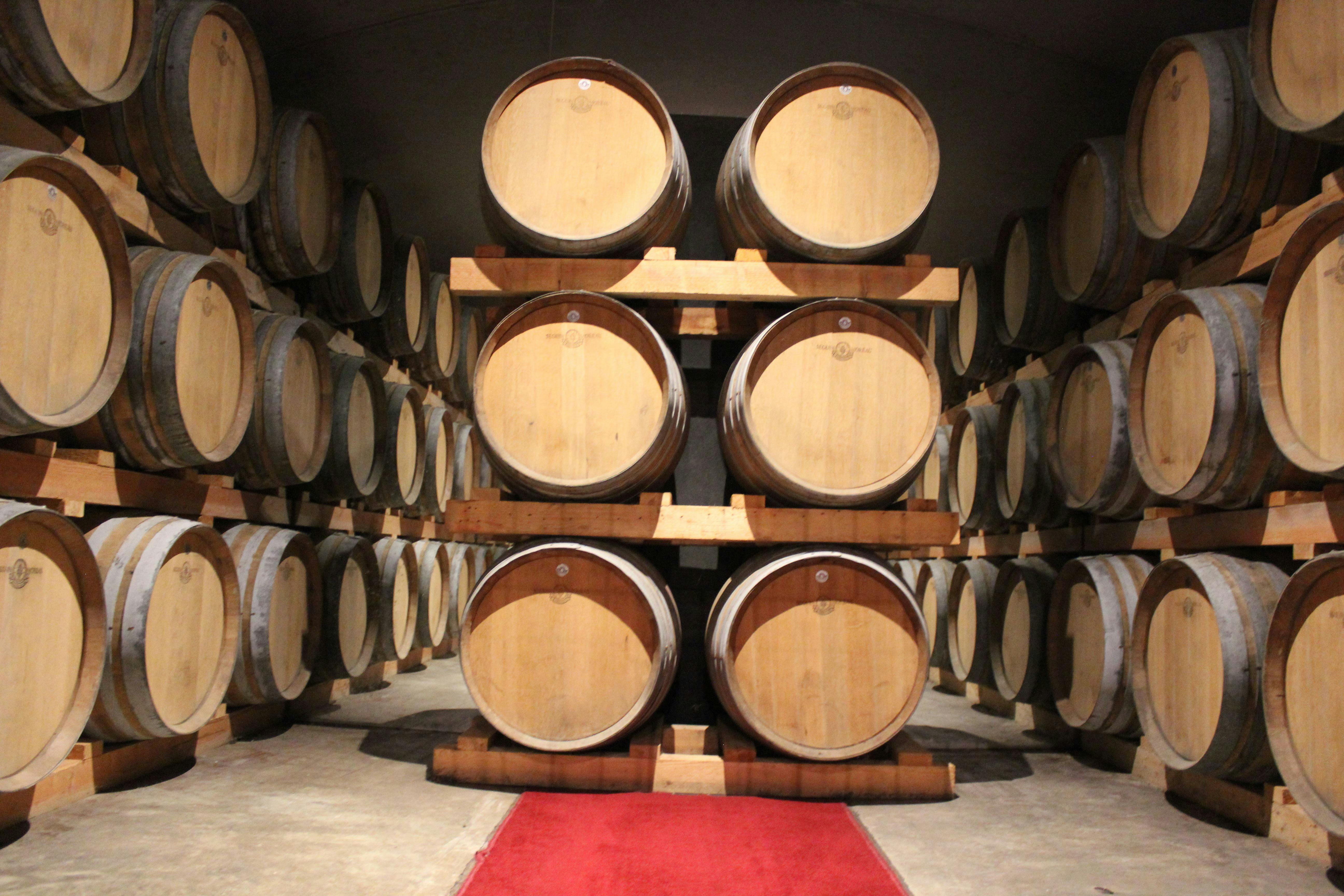 Premium Full Day Wine Tour