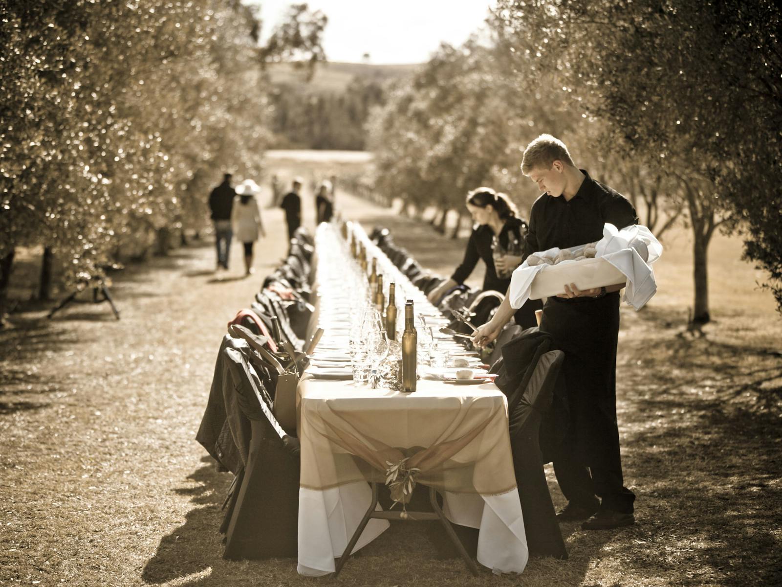 Whispering Brook Olive Long Table Luncheon