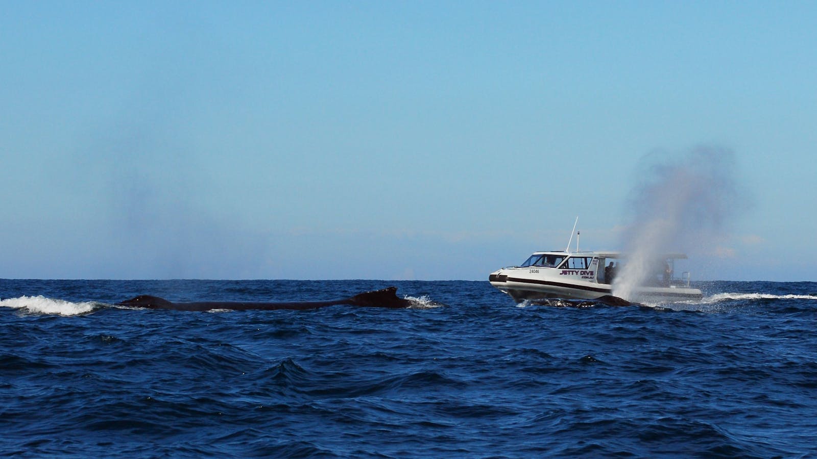 Jetty Dive Centre