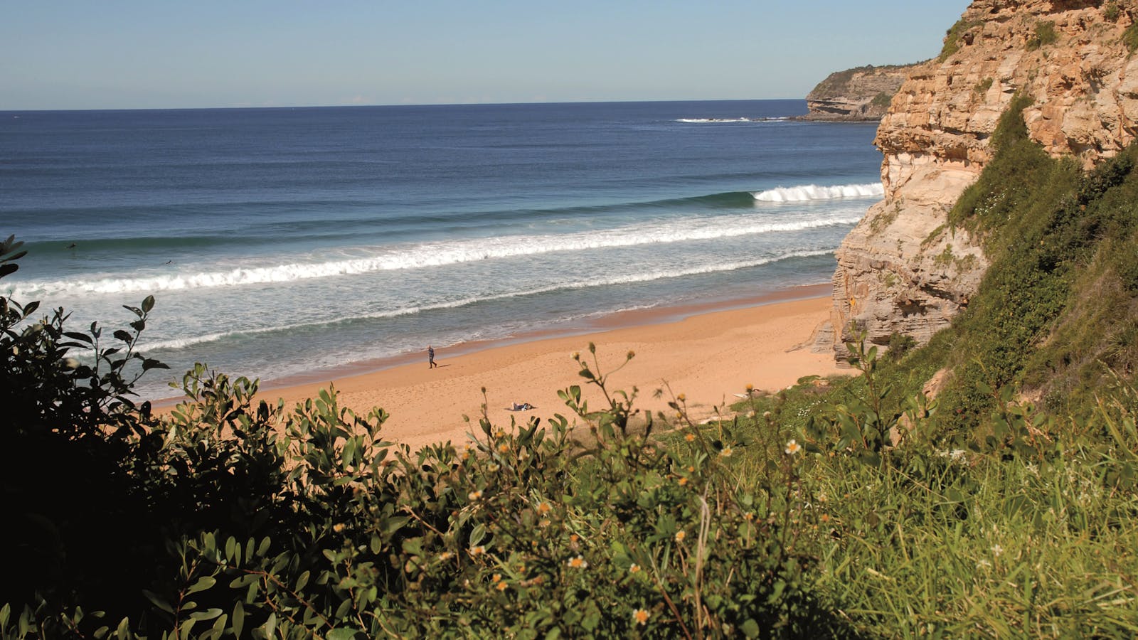 Manly Surf Guide