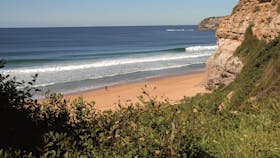 Manly Surf Guide 