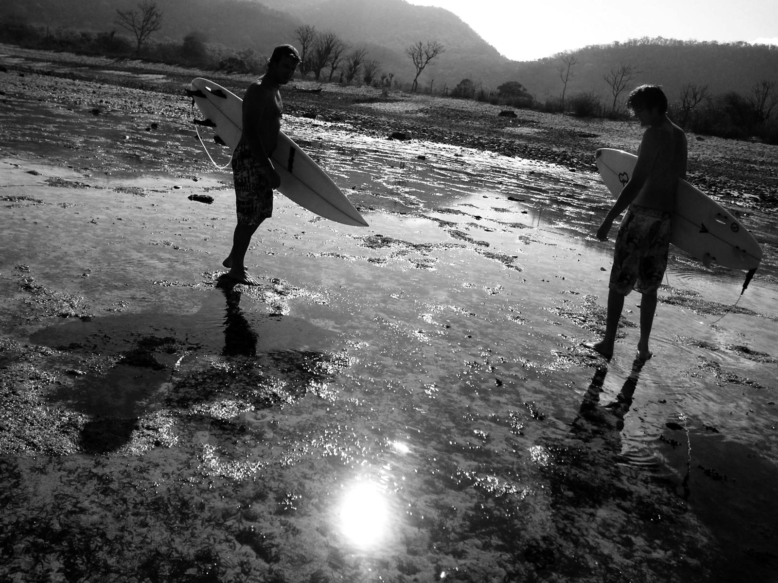 맨리 서핑 가이드