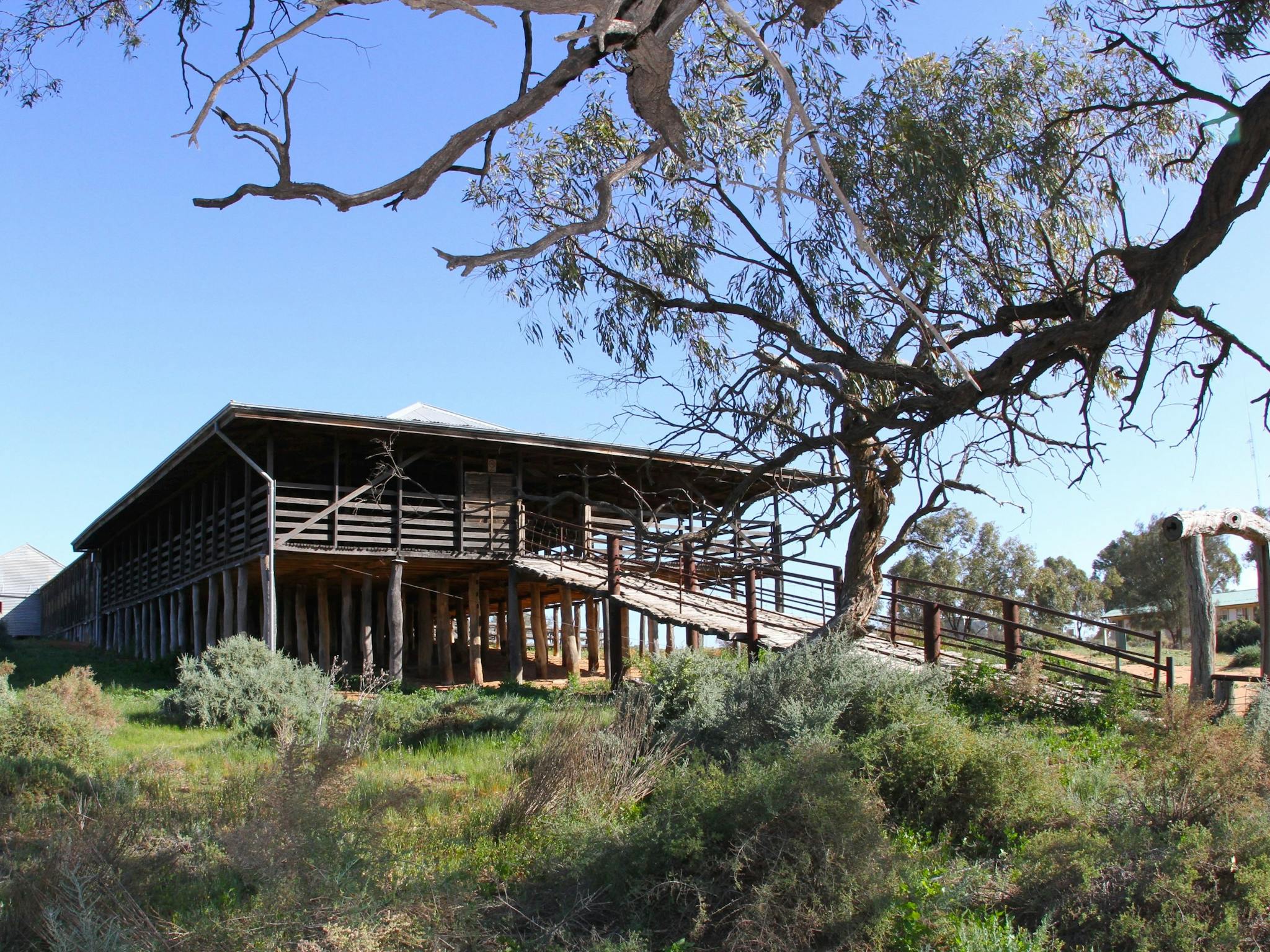 Kinchega Woolshed