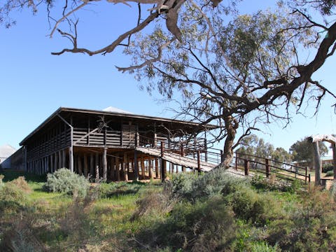 One Day Menindee Lakes/Kinchega National Park Tour