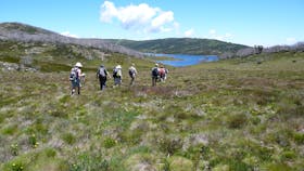 Roof of Australia, hiking, walking