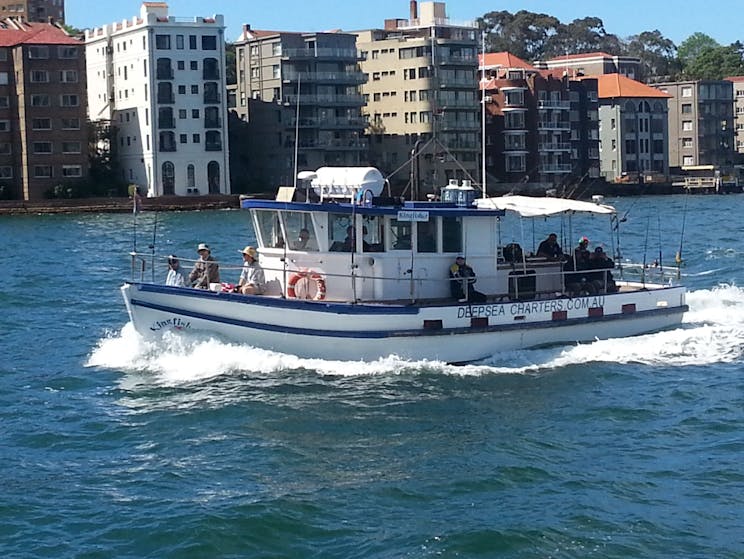 Deep Sea Fishing Charters | Sydney, Australia - Official Travel
