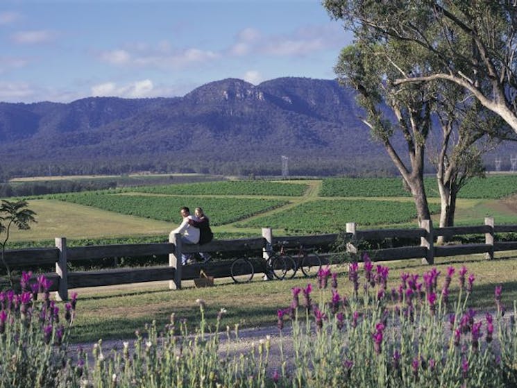 hunter valley wine tours with accommodation