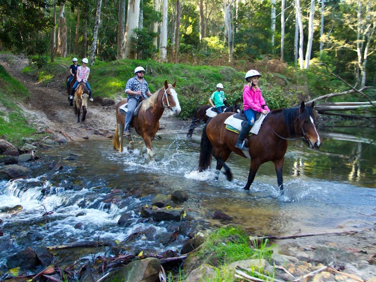 Glenworth Valley Horse Riding