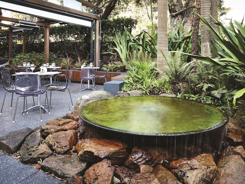 Sure Cafe St Leonards Sure Cafe St Leonards