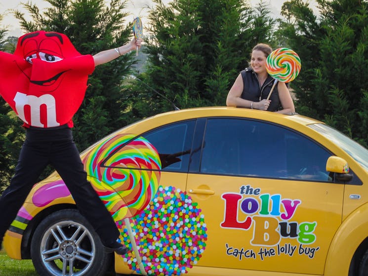 The Lolly Bug