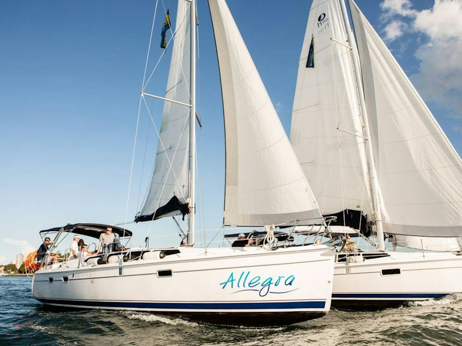 シドニーバイセイル