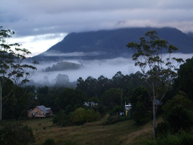 Grey Gum Lodge