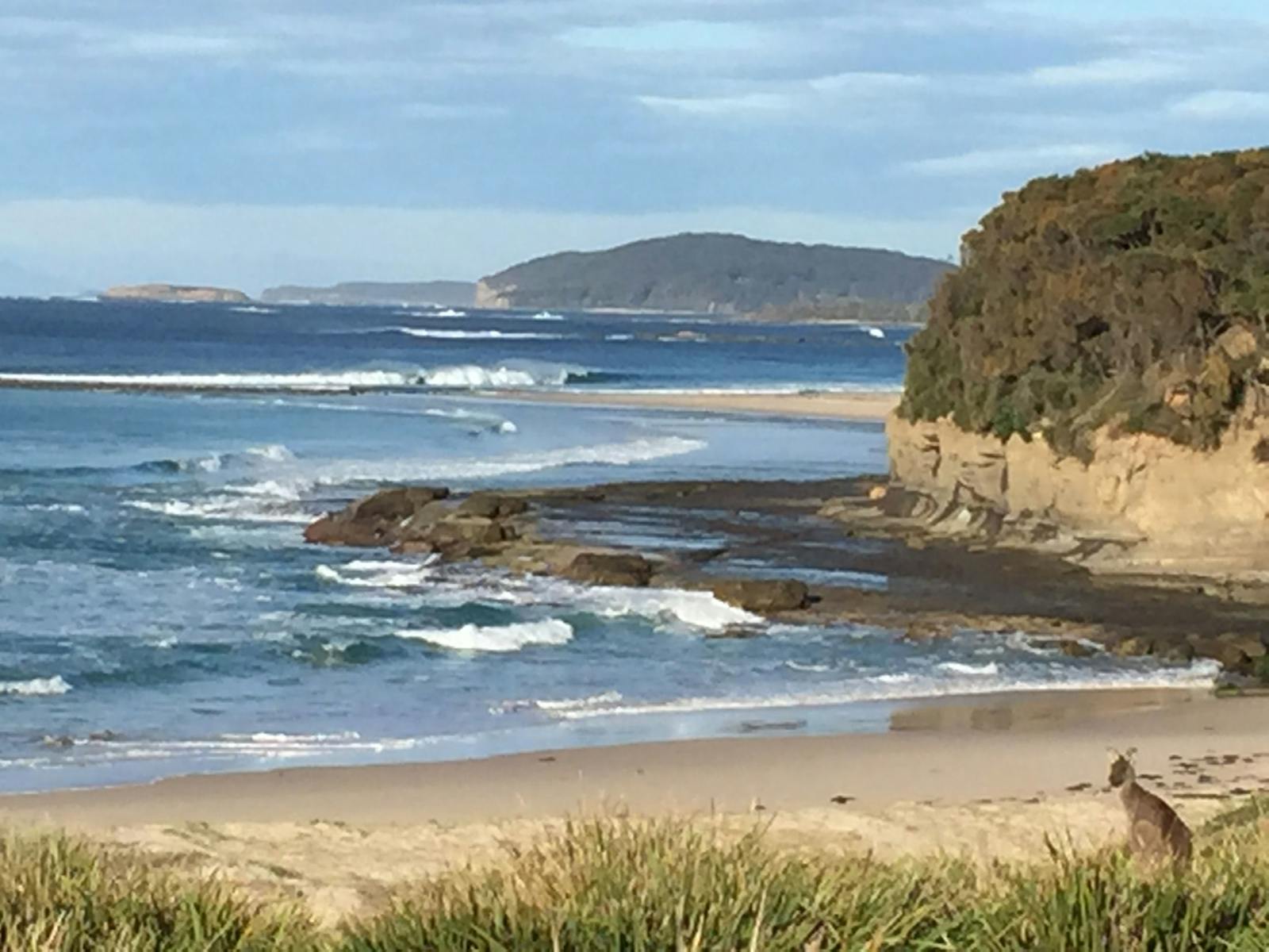 Marine and National Parks