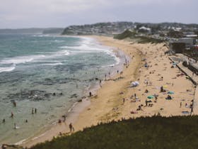 Native Newcastle See Do Tours