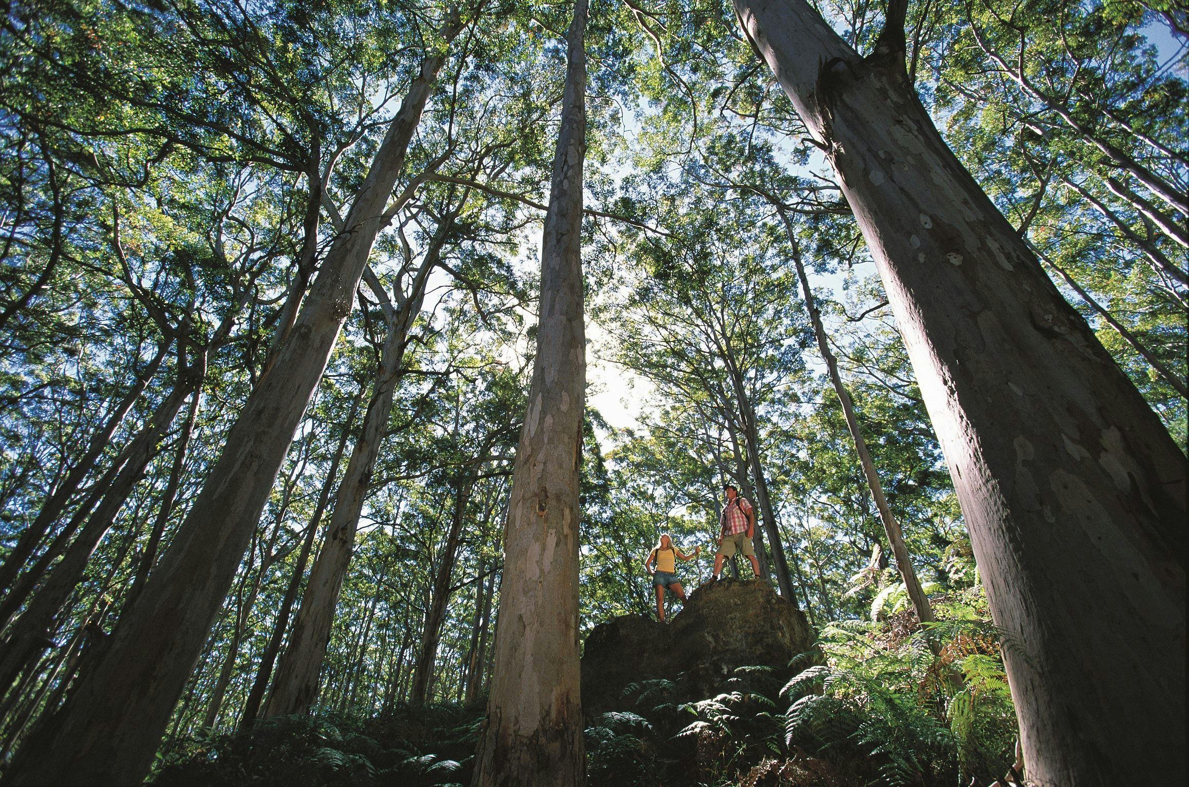 Leeuwin-Naturaliste National Park - Leeuwin