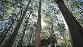 Leeuwin-Naturaliste National Park - Leeuwin