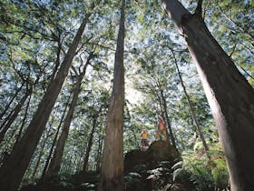 Leeuwin-Naturaliste National Park