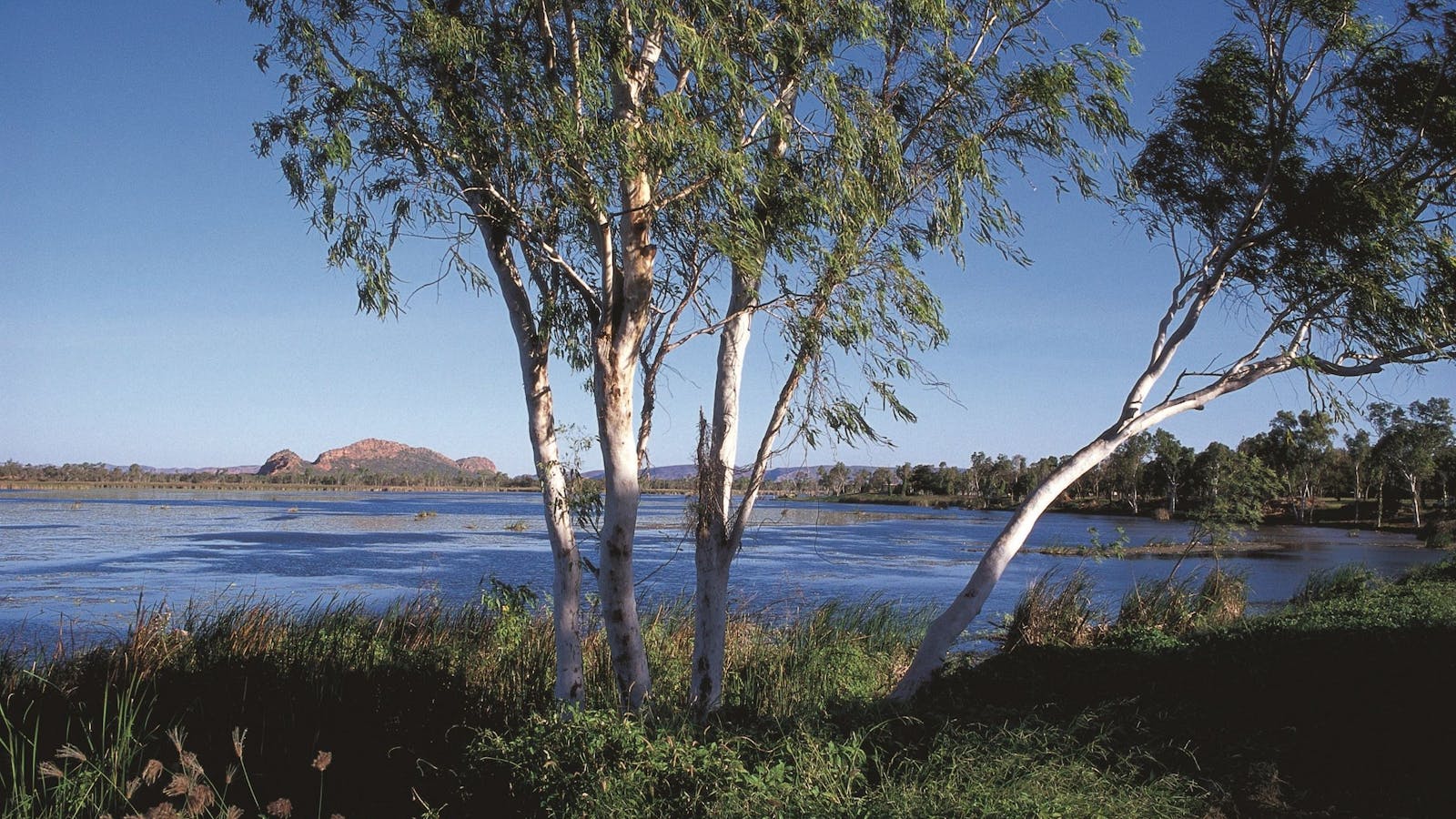 Lake Kununurra