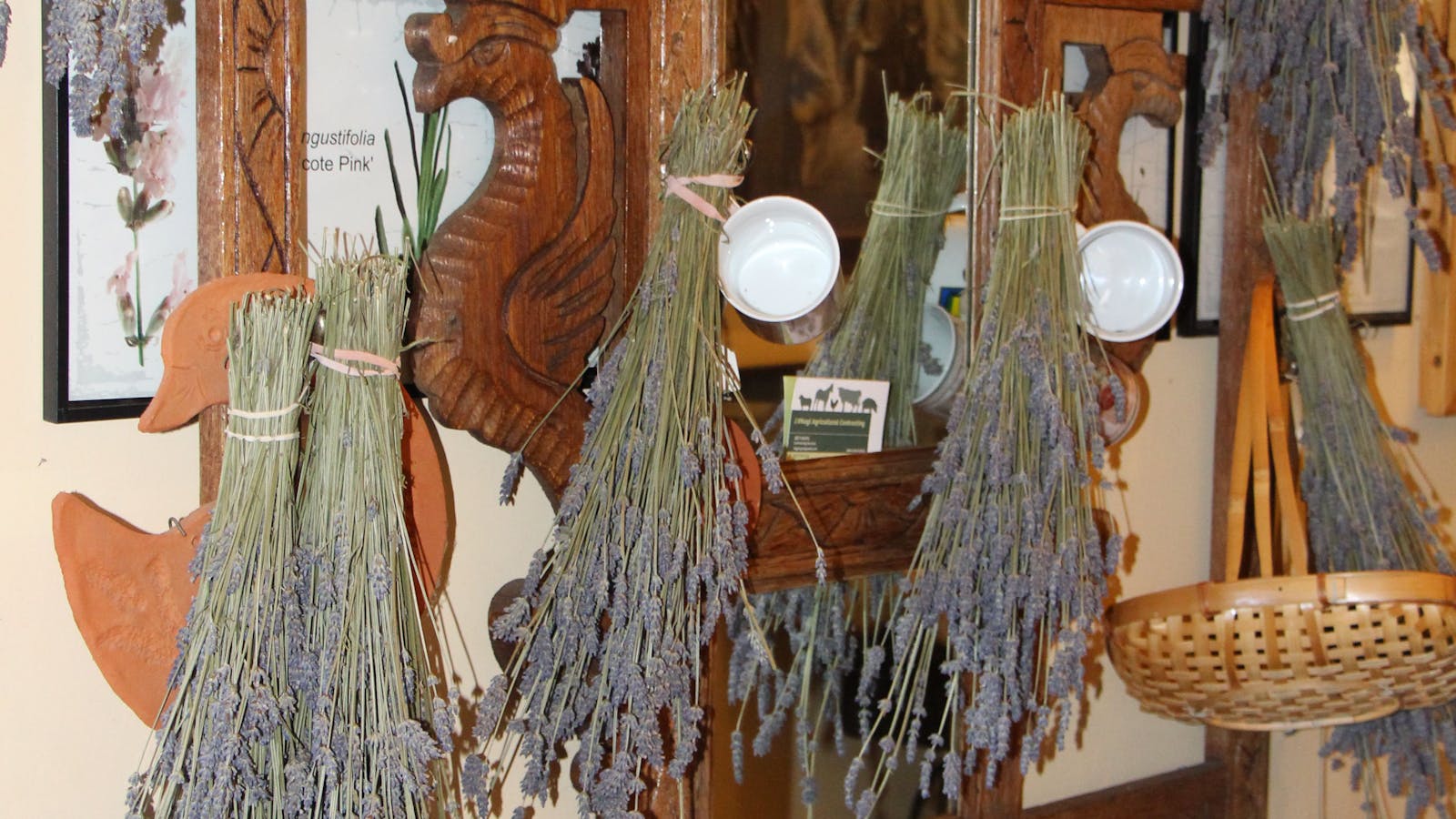 Lavender House in Railway Park