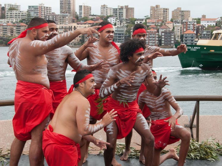 部族の戦士 オーストラリア シドニー Sydney Com 部族の戦士 オーストラリア シドニー Sydney Com
