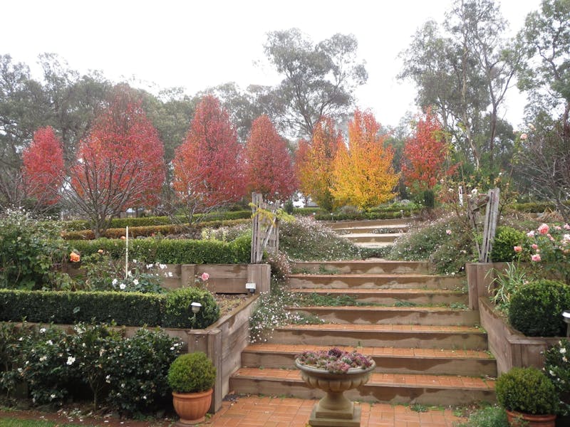 Bed And Breakfast Armidale Nsw Bed And Breakfast Armidale Nsw
